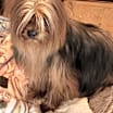 Thumbnail photo of Maggie #1