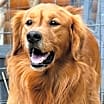 Thumbnail photo of Max #1