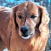 Thumbnail photo of Max #2