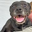 Thumbnail photo of Norma Jean #2