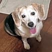 Thumbnail photo of Riley #4