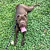 Thumbnail photo of Max #1