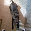 Thumbnail photo of Max #3