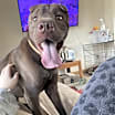 Thumbnail photo of Max #4
