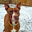Thumbnail photo of Grace #4