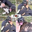 Thumbnail photo of Mitzi #1
