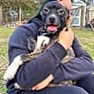Thumbnail photo of Mitzi #2
