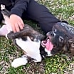Thumbnail photo of Mitzi #3
