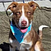 Thumbnail photo of Keegan #4