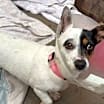 Thumbnail photo of Gianna #2
