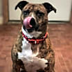 Thumbnail photo of DAISY #3