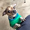 Thumbnail photo of Gadget #1