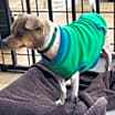 Thumbnail photo of Gadget #2