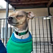 Thumbnail photo of Gadget #3