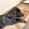 Thumbnail photo of Olive #2