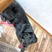 Thumbnail photo of Olive #3