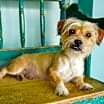 Thumbnail photo of Lucho #1