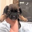Thumbnail photo of Smith #2