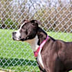 Thumbnail photo of Hex #2