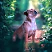 Thumbnail photo of Penny #2