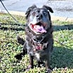 Thumbnail photo of Collette #1