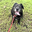 Thumbnail photo of Collette #3