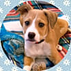 Thumbnail photo of MYLO #1