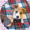 Thumbnail photo of MYLO #2