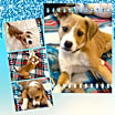 Thumbnail photo of MYLO #3