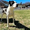 Thumbnail photo of Harvey #2