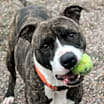 Thumbnail photo of Max #2