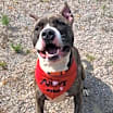 Thumbnail photo of Max #3