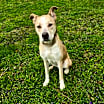 Thumbnail photo of Tucker #2