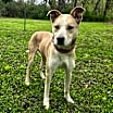 Thumbnail photo of Tucker #1