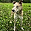 Thumbnail photo of Tucker #3