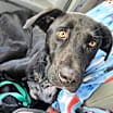 Thumbnail photo of Quigley #4