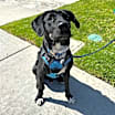 Thumbnail photo of *** Loreto #2