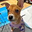 Thumbnail photo of Ella #1