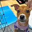 Thumbnail photo of Ella #4