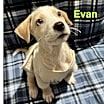 Thumbnail photo of Evan #4