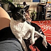 Thumbnail photo of Noah #1