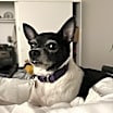Thumbnail photo of Noah #2
