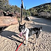 Thumbnail photo of Noah #3
