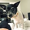 Thumbnail photo of Noah #4