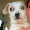 Thumbnail photo of Larry #1