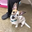 Thumbnail photo of Jet #1