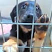 Thumbnail photo of Bently #1