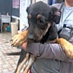 Thumbnail photo of Bently #2