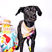 Thumbnail photo of Julep #1
