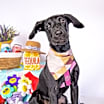 Thumbnail photo of Julep #2
